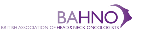 BAHNO Logo Intital Colour
