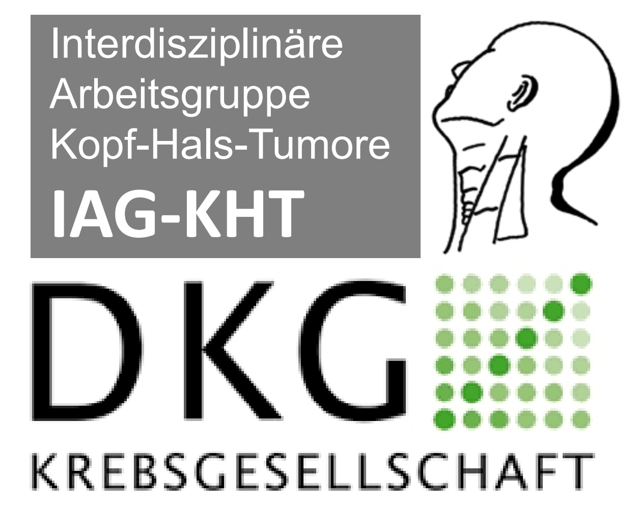 Logo IAG KHT